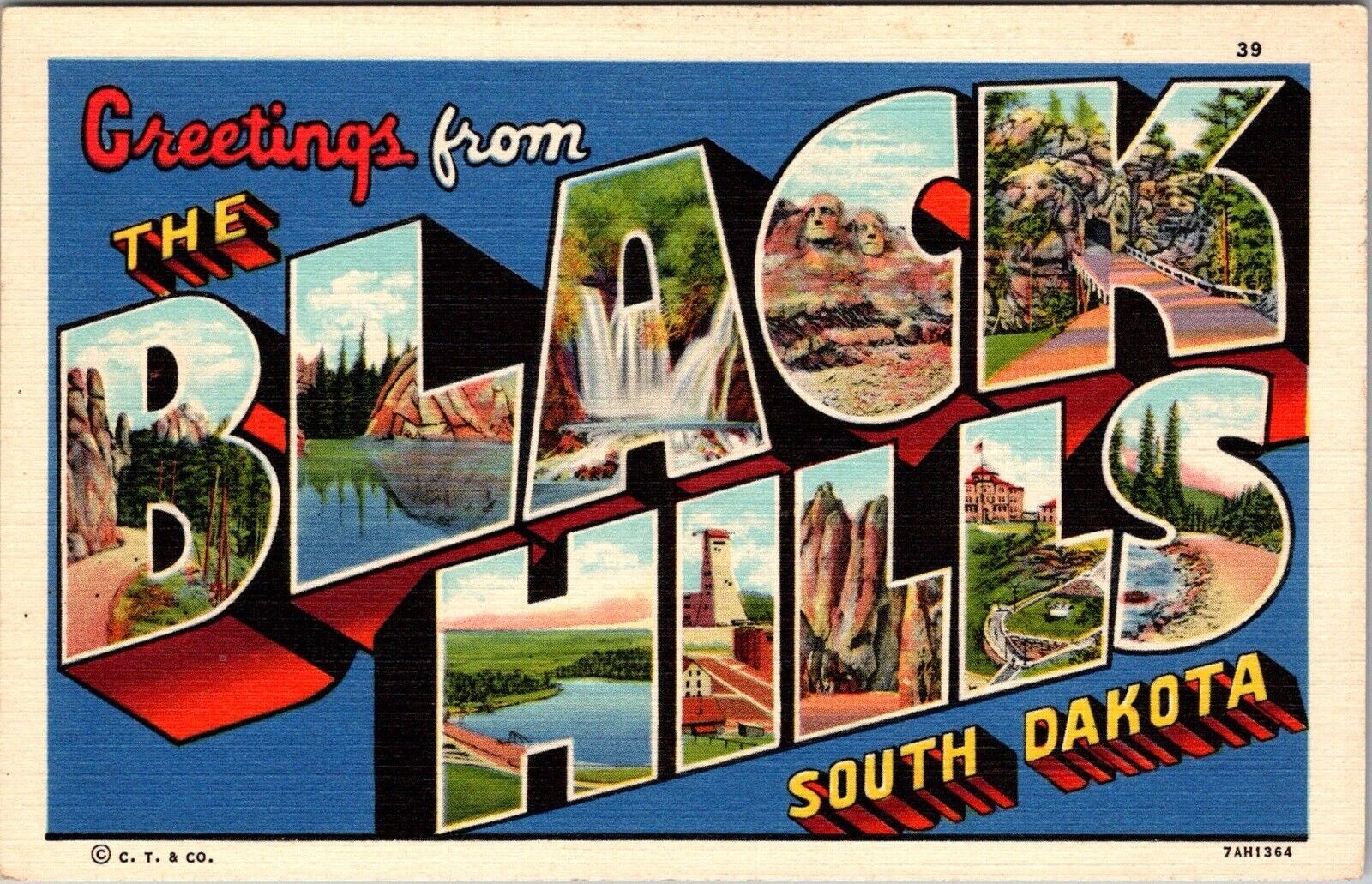 Large Letter Greetings From Black Hills South Dakota SD Linen Postcard JA30