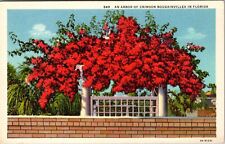 FL-Florida, An Arbor Of Crimson Bougainvillea Vintage Souvenir Postcard picture