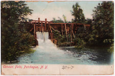 1908 Patchogue NY Postcard Canaan Falls Suffolk County Waterfall PCK RARE UDB picture