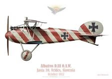 Print Albatross D.III O.A.W., Jasta 39, Slovenia, 1917 (by D. Douglass) picture