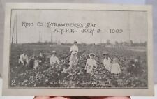 1909 - KING CO. STRAWBERRY DAY - vintage POSTCARD - POST CARD - #1847 picture