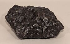 Campo Del Cielo Argentina Museum Quality 62 Pound Iron Meteorite with Provenance picture