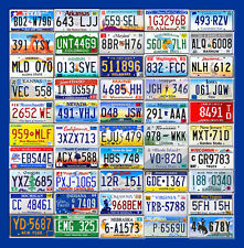 50 STATE SET OF USA LICENSE PLATES + DC IN CRAFT CONDITION LOT  picture