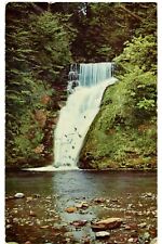 Beautiful View Of Nature The Lower Falls Buck Hills Falls, Pennsylvania Postcard picture