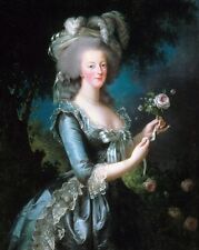 New 8x10 Photo: Rose Portrait of Marie Antoinette, Queen of France and Navarre picture