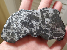 Campo del Cielo Silicate inclusions etched Meteorite 124g endcut COA picture