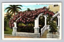 FL-Florida, An Arbor Bougainvillea, Vintage Postcard picture