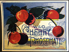 Original Very Early Vintage  WILD CHERRY PHOSPHATE SODA? or Medicine?  Label picture
