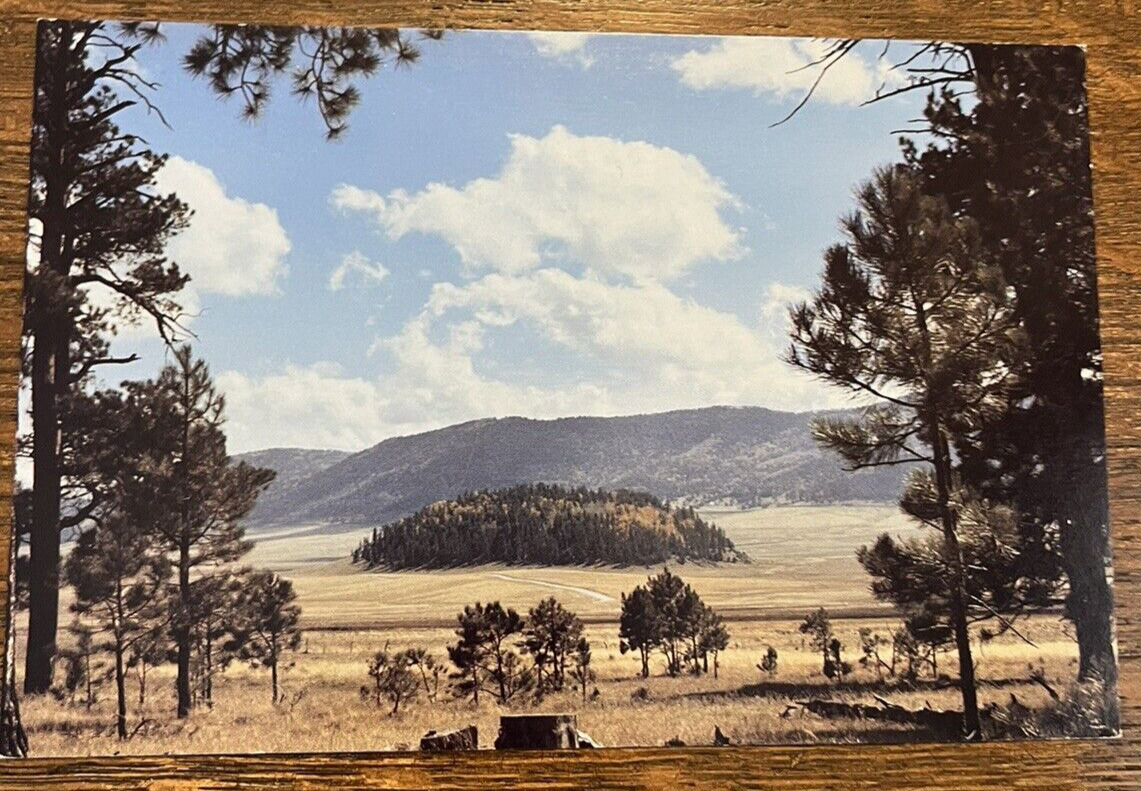 Vintage postcard Valle Grande Los Alamos New Mexico NM Unposted