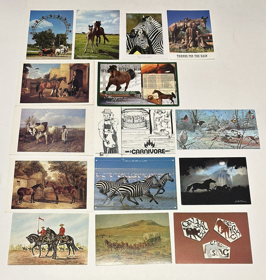 Lot of 15 Wildlife Horses Zebras Postcards VINTAGE Nature Outdoor Post Card #WLD