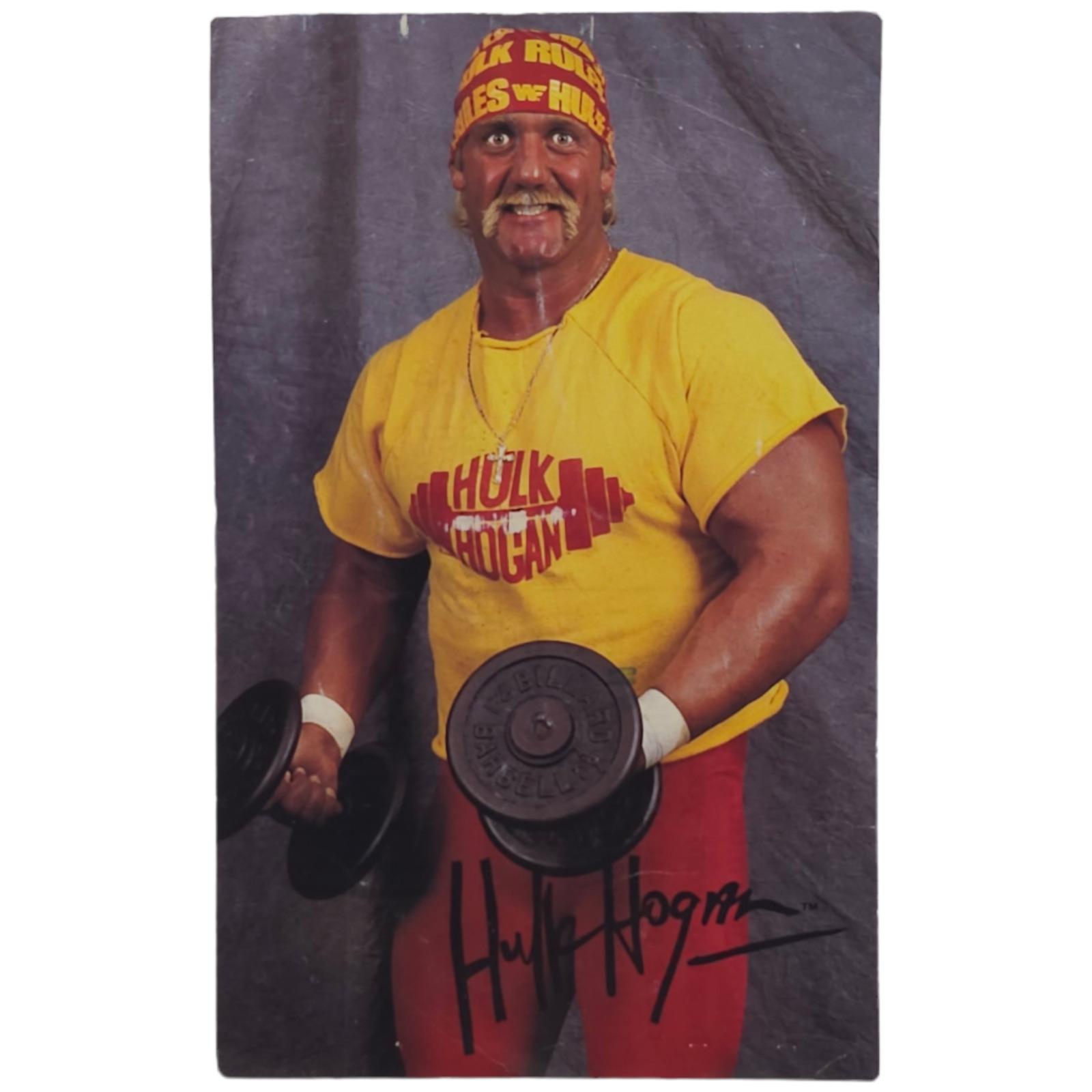1990 WWF Hulk Hogan Postcard Sent to Hulkamaniacs Vintage Hulkmania Titansports