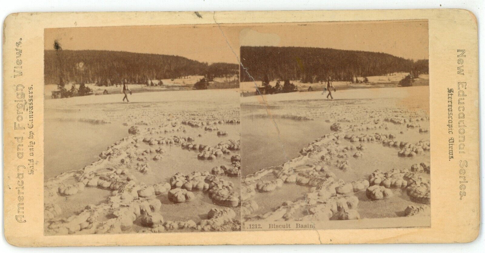 c1890's Real Photo Stereoview Biscuit Basin Yellowstone National Park