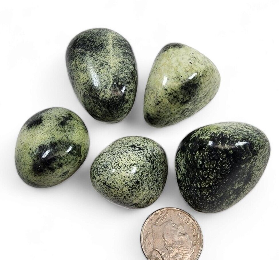 Serpentine Polished Stones India 72.1 grams