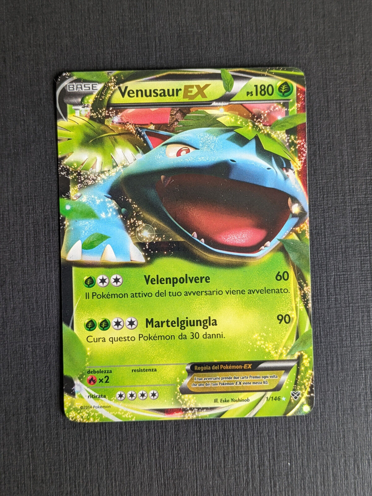 Pokemon Card - Venusaur EX 1/146 XY - EX - ITA