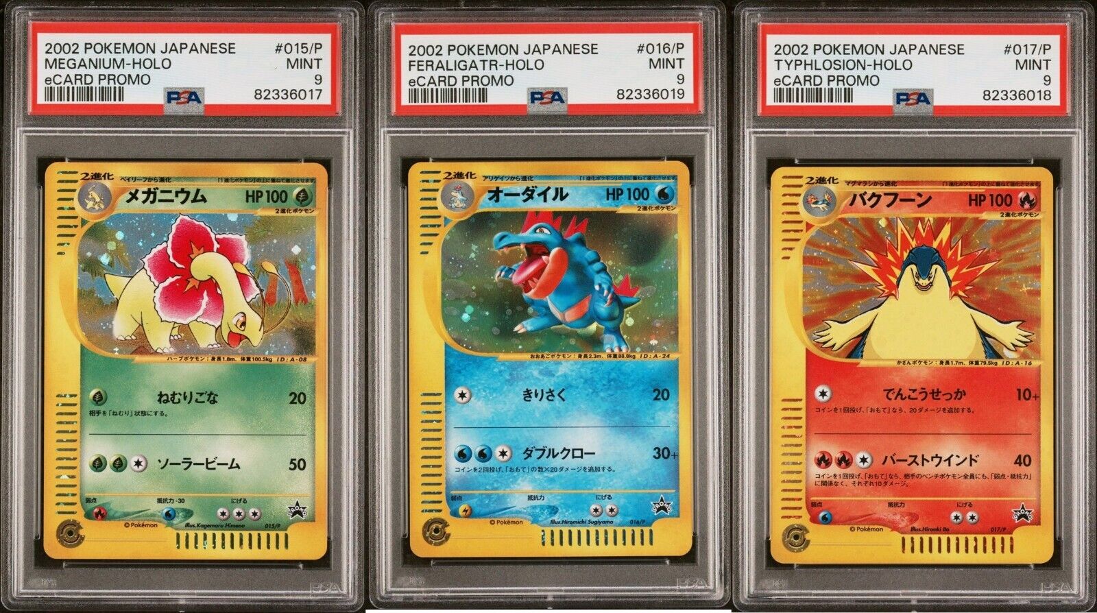 PSA 9 2002 eCard Lottery Promo Pokemon Card Set 015/P 016/P 017/P - MINT