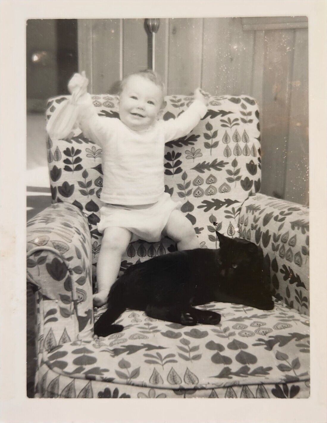 Vintage Black And White Photograph Of A Adorable Baby And A Big Cat