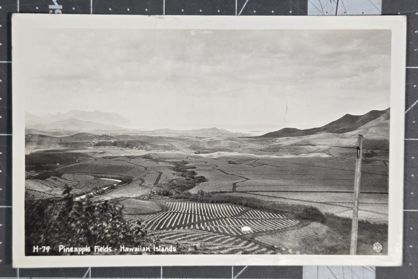 Vintage 1947 B&W RPPC Postcard Pineapple Fields Hawaiian Islands