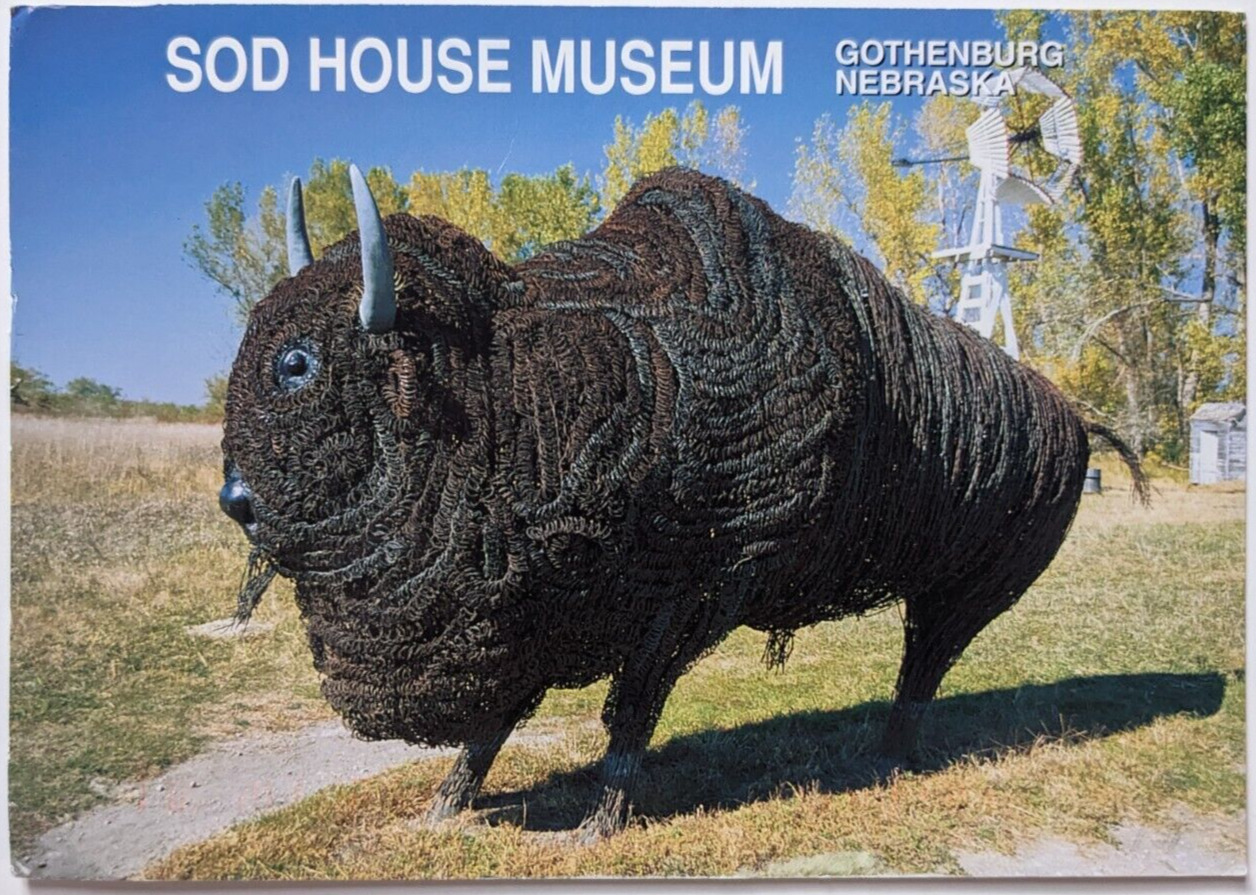 Gothenburg Nebraska Sod House Museum Barbed Wire Buffalo Sculpture Postcard A9