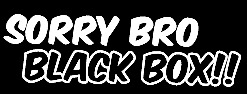 sorry bro black box JDM funny vinyl decal car bumper sticker 168