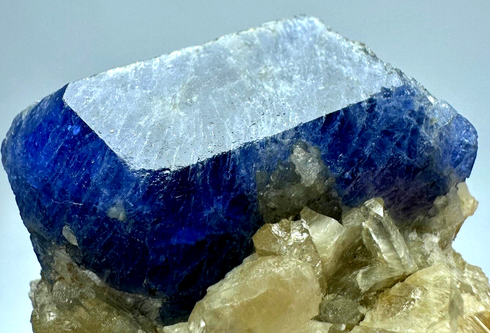 259 Carat Fluorescent Top Blue Hackmanite Crystal On Winchite From @Afg
