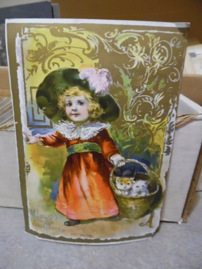 McLaughlin\'s XXXX Coffee trade card 1890s  girl with  basket of kittens (10)
