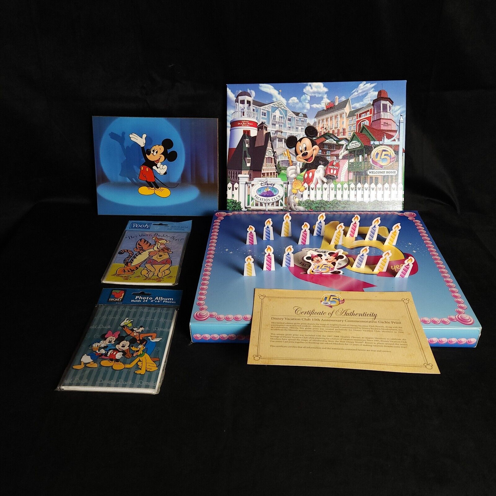 Disney Giclée Print, Mickey Art, Mickey & Pooh Photo Albums