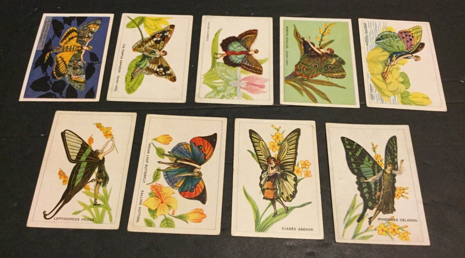 1928 BAT British American Tobacco Butterflies (Girls) Lot of 9 Different Sku1032
