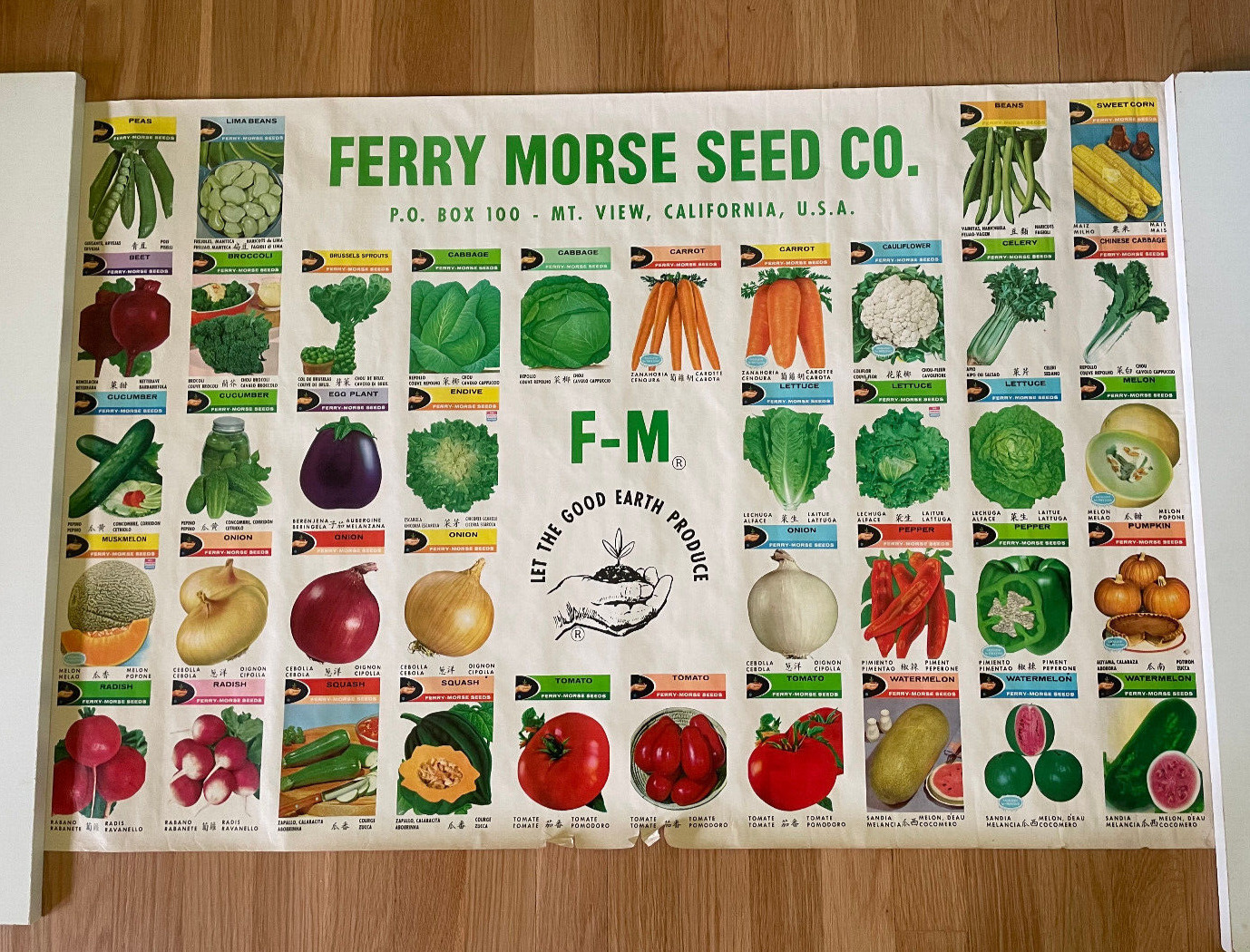 Vintage FERRY-MORSE SEED CO ADVERTISING Seeds Gardening Store Poster Display