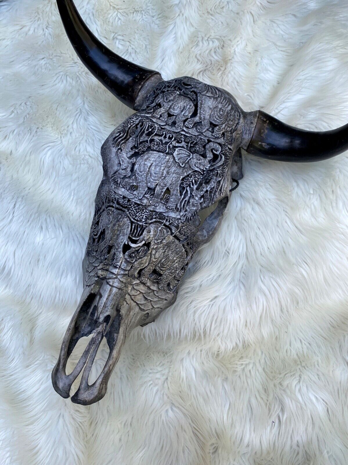 Carved Cow Skull Bull Skull HORNS Elephant Skull Animal Cow Carved Ram Carved