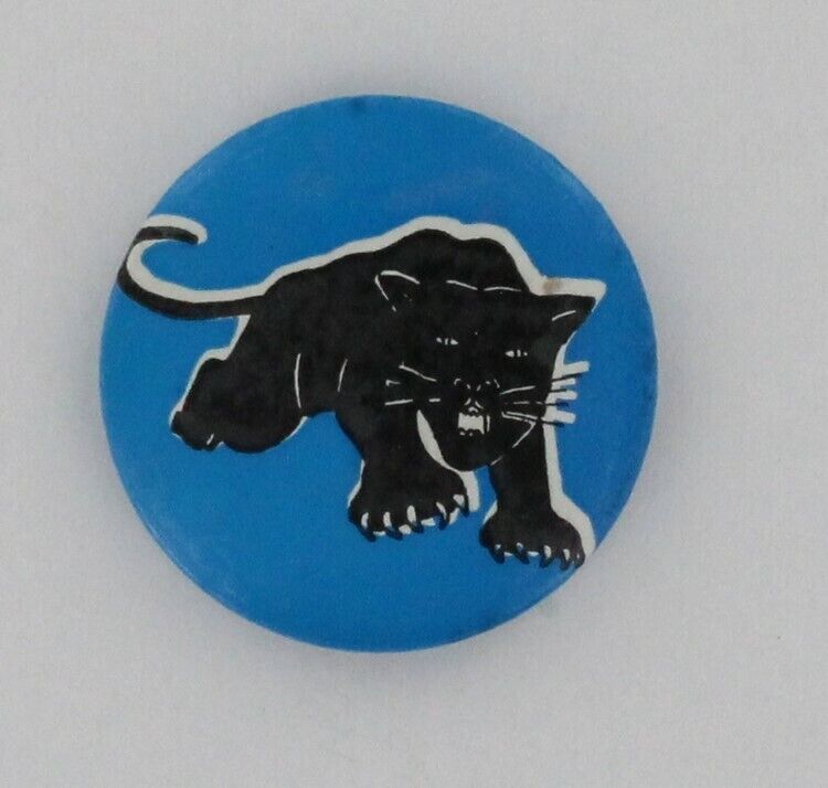 Black Panther Party 1968 Revolutionary Pin Original Huey Newton Malcolm X P633
