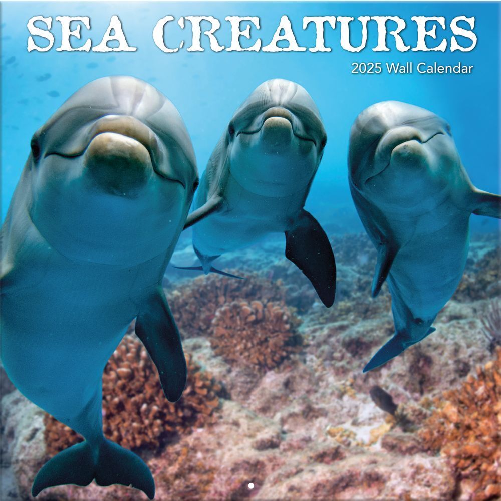 Turner Licensing,  Sea Creatures 2025 Wall Calendar