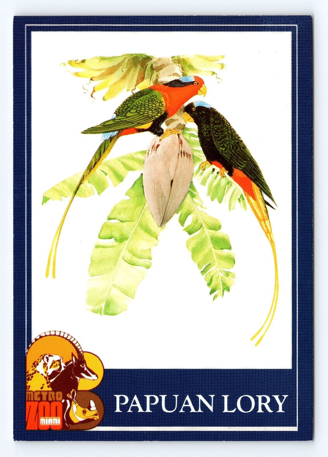 Postcard Lot (5) Cards Exotic Birds Papuan Lory/Black Naped Oriole/Flamingo