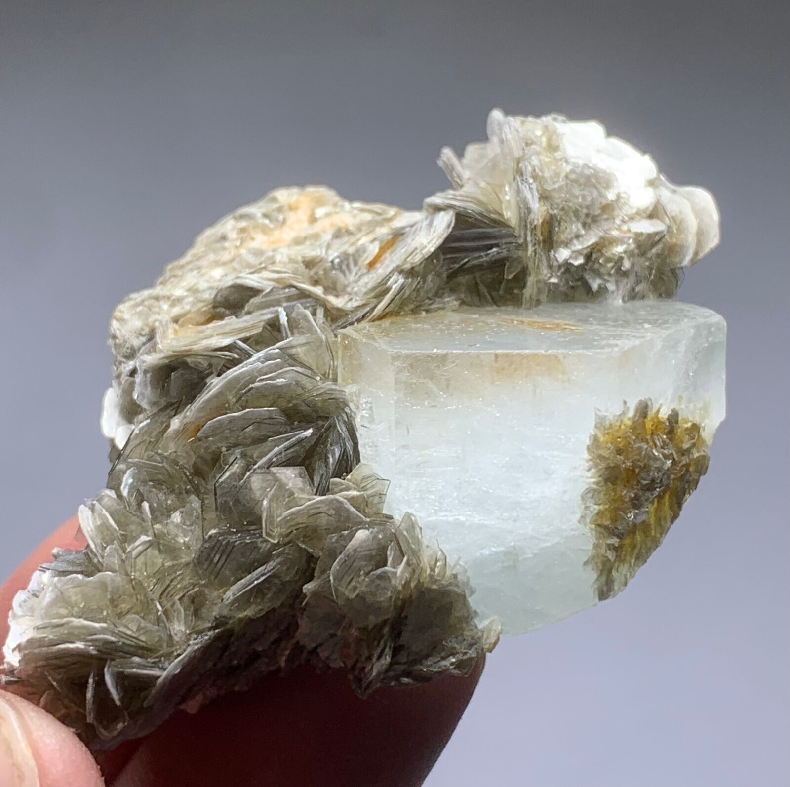 259 Carat Aquamarine Crystal Specimen  from Pakistan