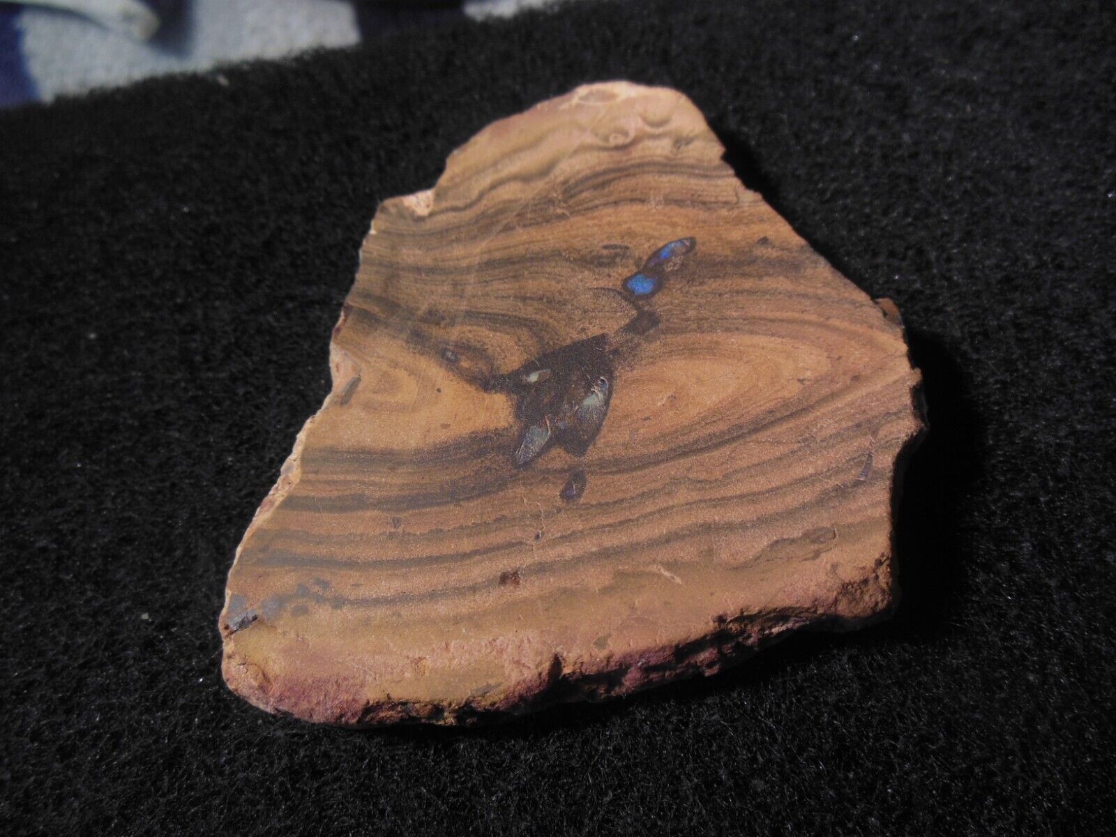 Australian Boulder Opal, large unpolished slab, color, 418ct weight, SEE VIDEO