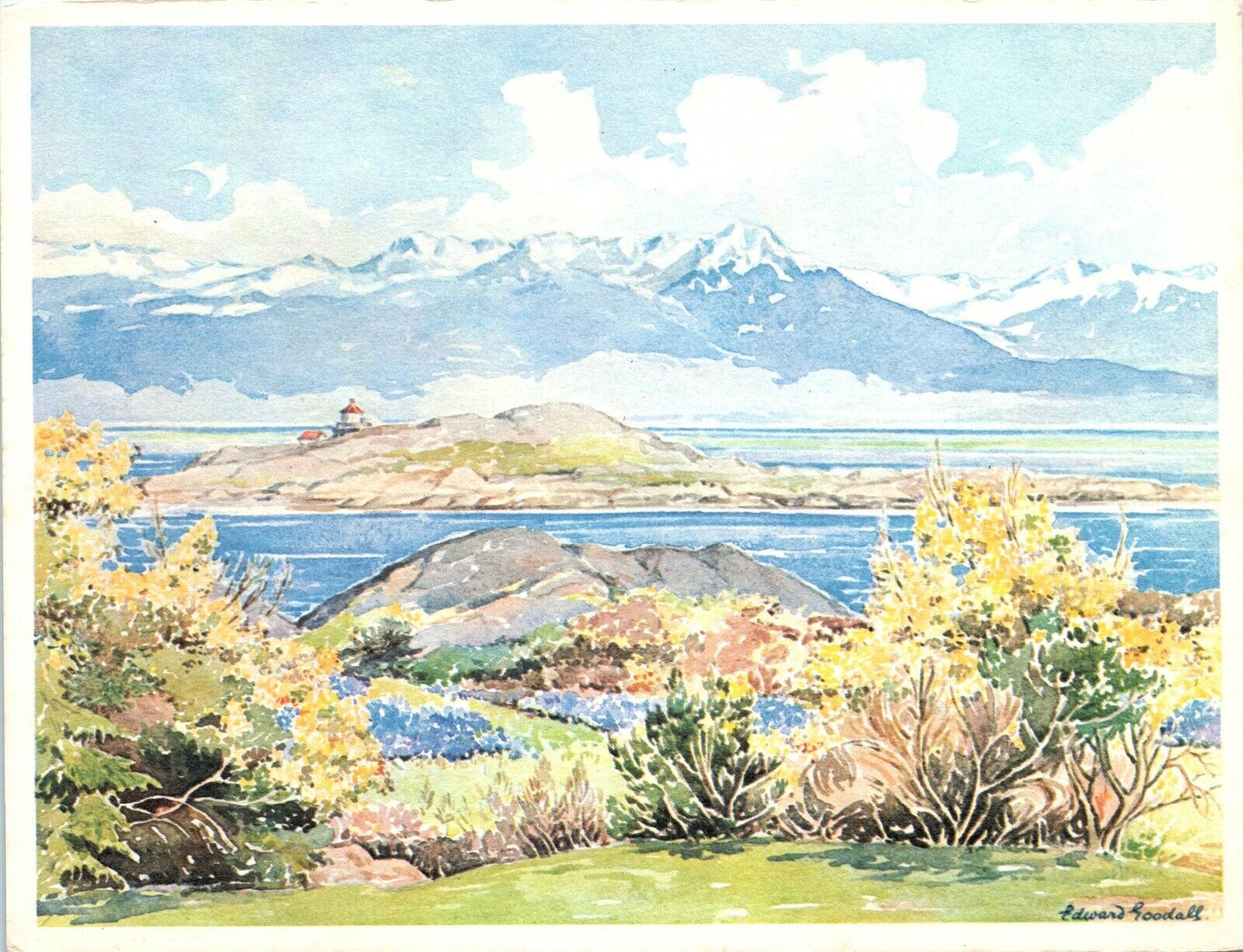 Olympic Mountains Vancouver Island BC Edward Goodall Painting POSTCARD B67
