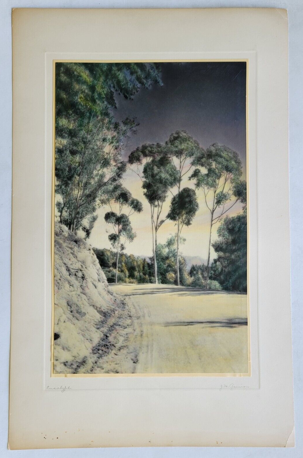 1920\'S HUGE COLORED PHOTO...ROAD & EUCALYPTUS TREES CALIFORNIA J.M. GARRISON