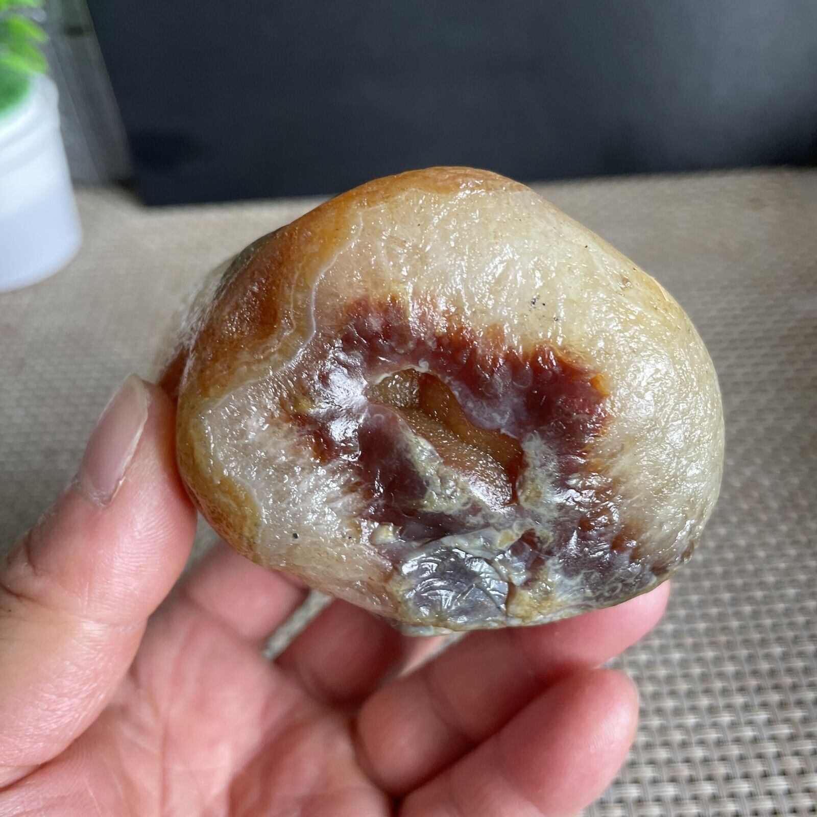 584g Bonsai Suiseki-Natural Gobi Agate Eyes Stone-Rare Stunning Viewing 9828