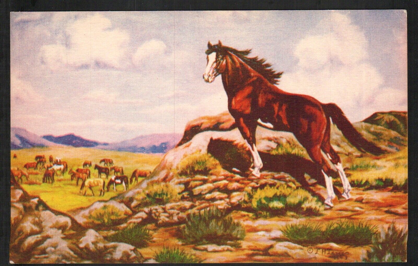 Old Western Postcard Horses by Cowboy Artist Lewis H Dude Larsen Mountains 1950s