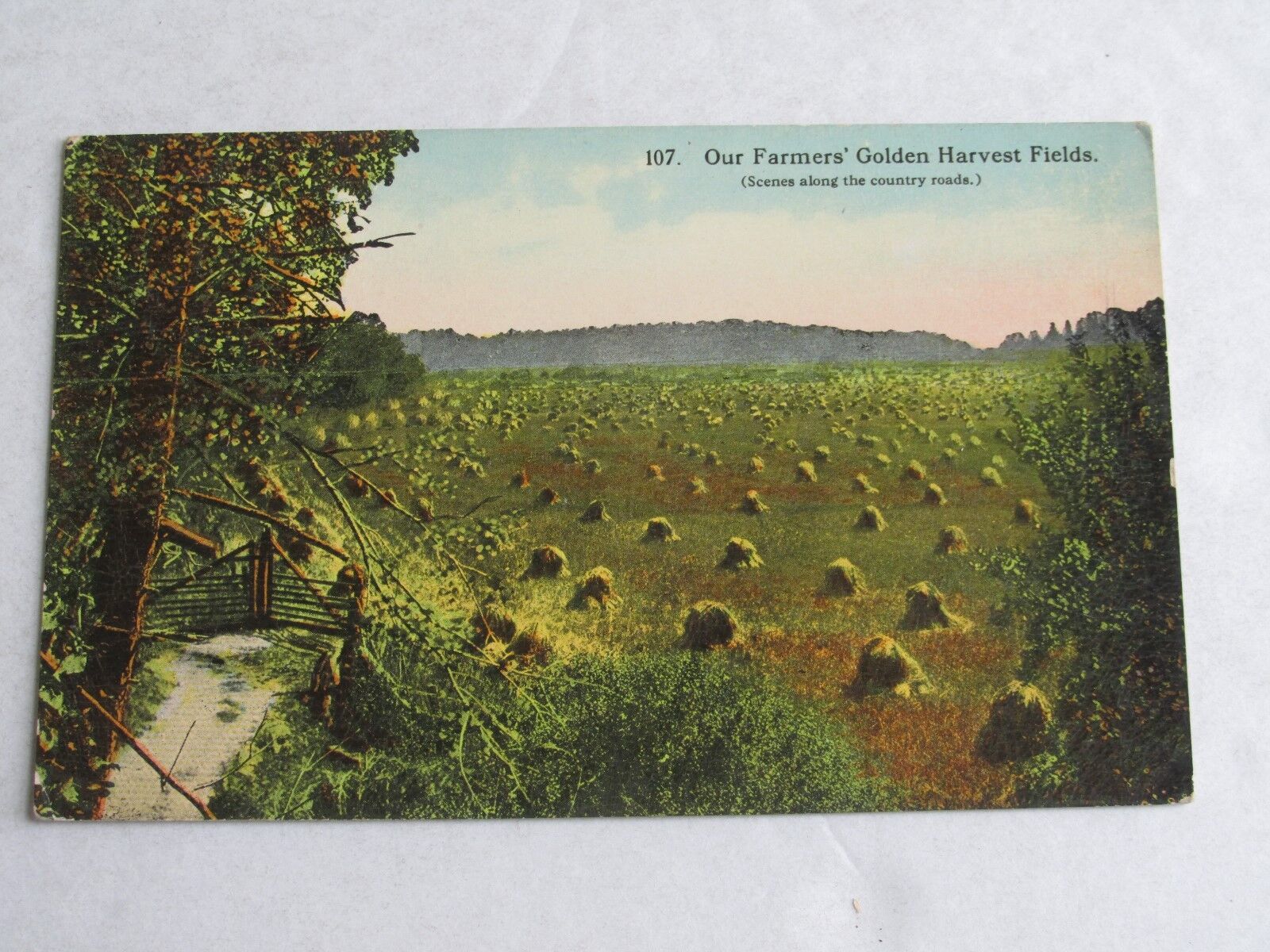 G445 Vintage Postcard Our Farmers Golden Harvest Fields 