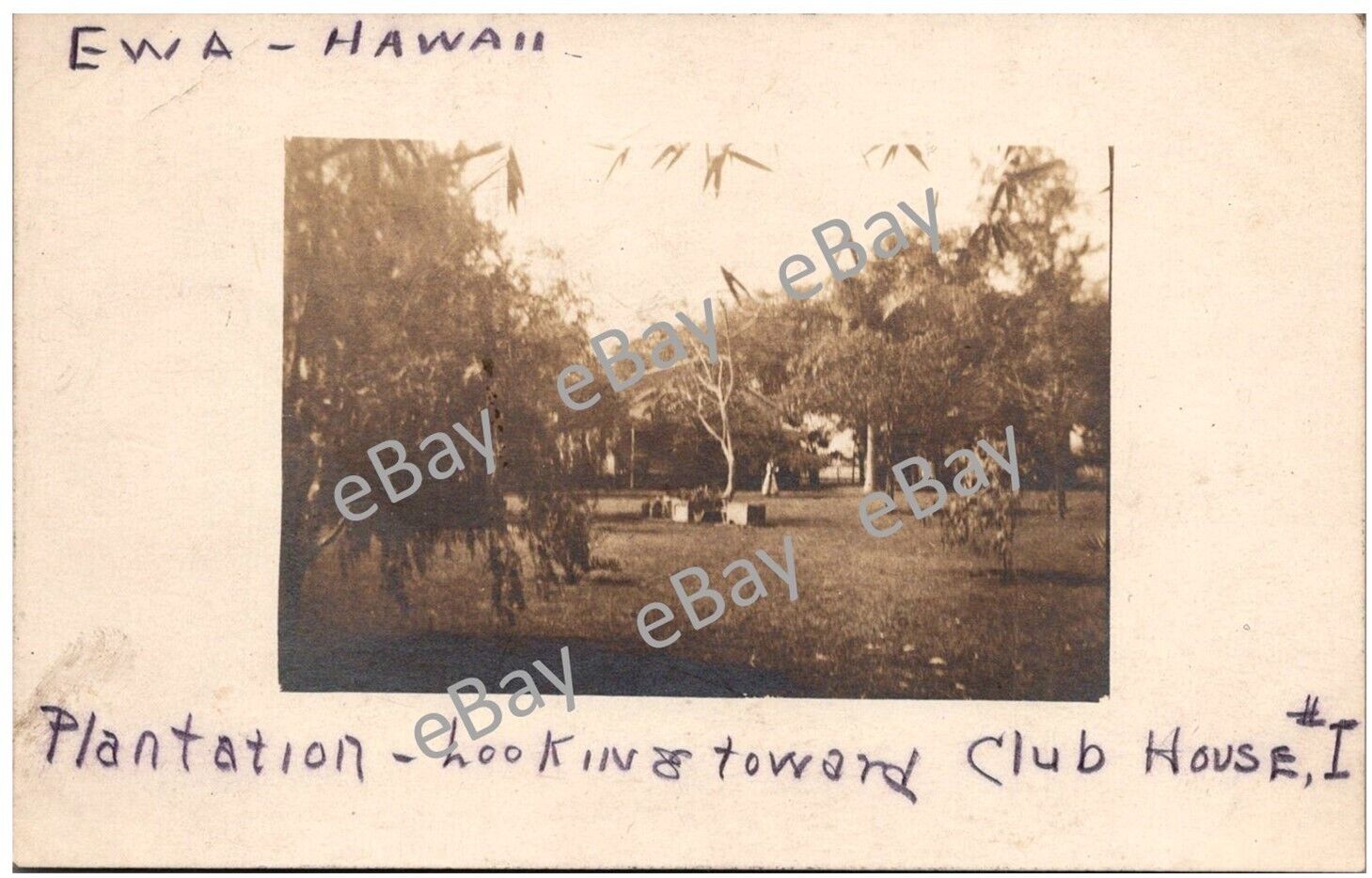 Postcard HI Oahu, Ewa Sugar Plantation Looking Toward Clubhouse 1912 RPPC V3