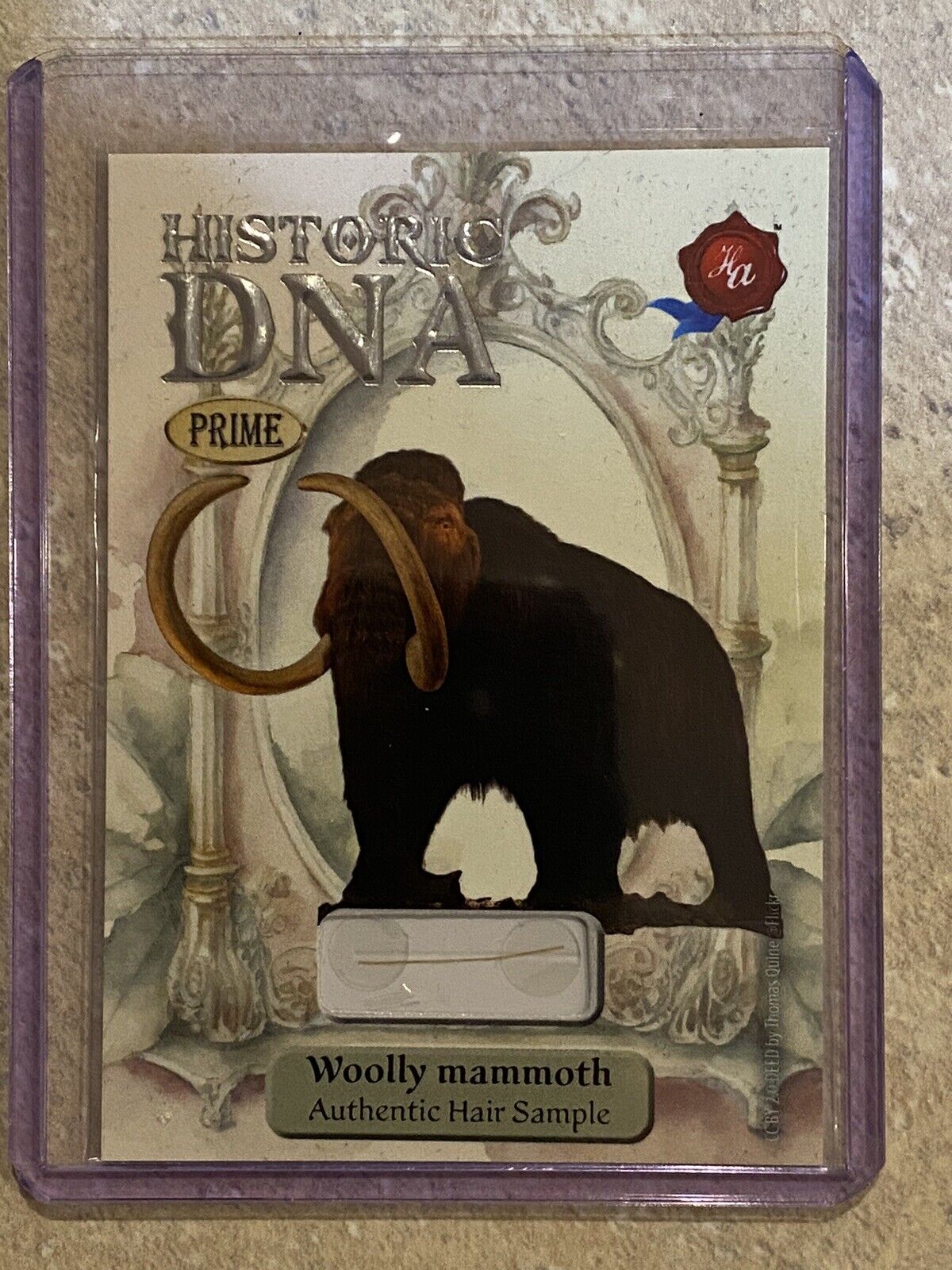2024 HISTORIC AUTOGRAPHS PRIME WOOLY MAMMOTH HAIR FUR DNA RELIC 19/24 SO RARE