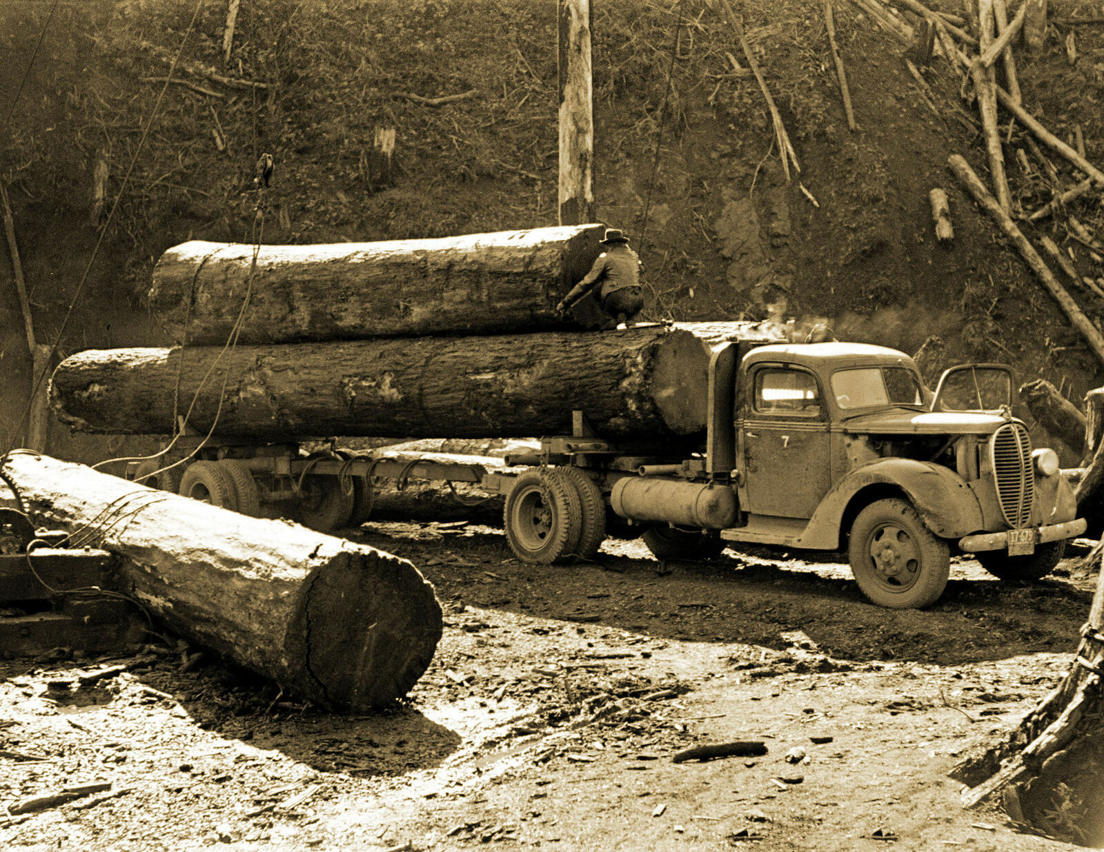 1941 Loading Logs Onto a Truck, Oregon Vintage Old Photo 8.5\