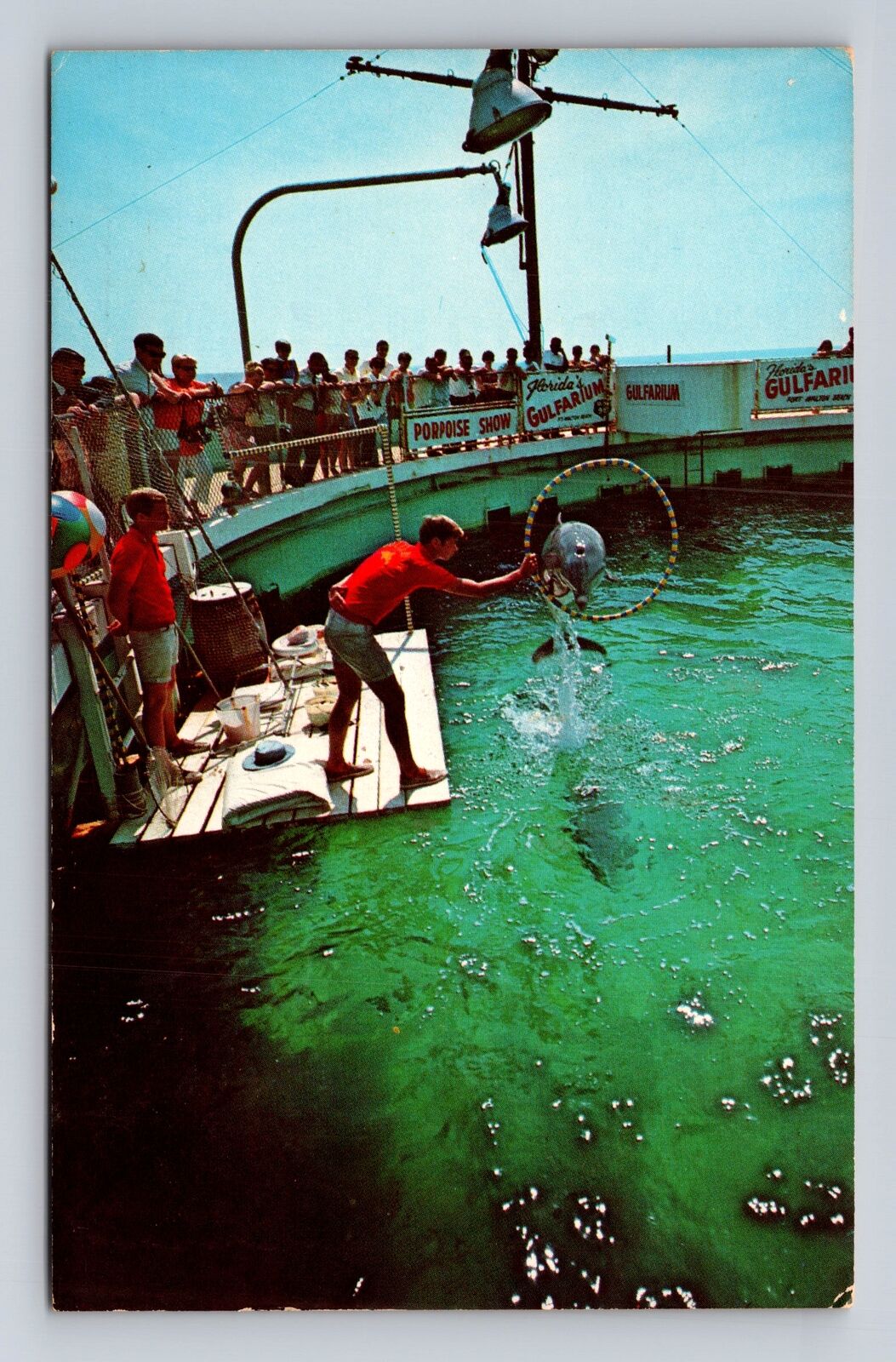 Fort Walton Beach FL-Florida, Porpoise Tricks Gulfarium Vintage c1971 Postcard