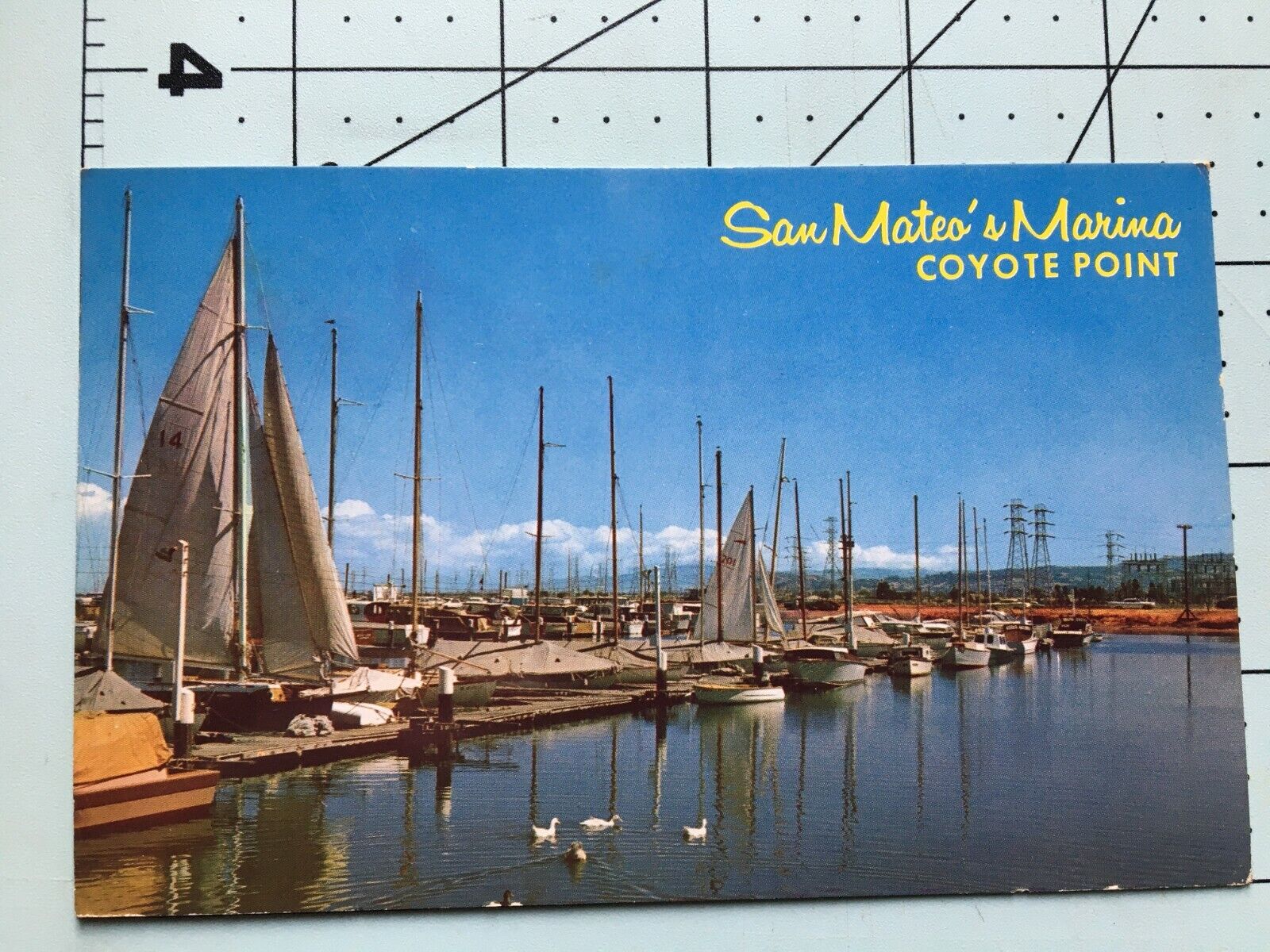 Vintage  San Mateo Marina At Coyote Point Postcard - California