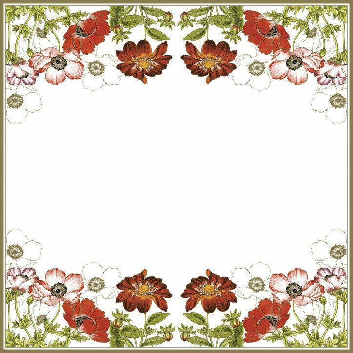 Two Individual Paper Luncheon Decoupage 3-Ply Napkins Beautiful Flowers Frame
