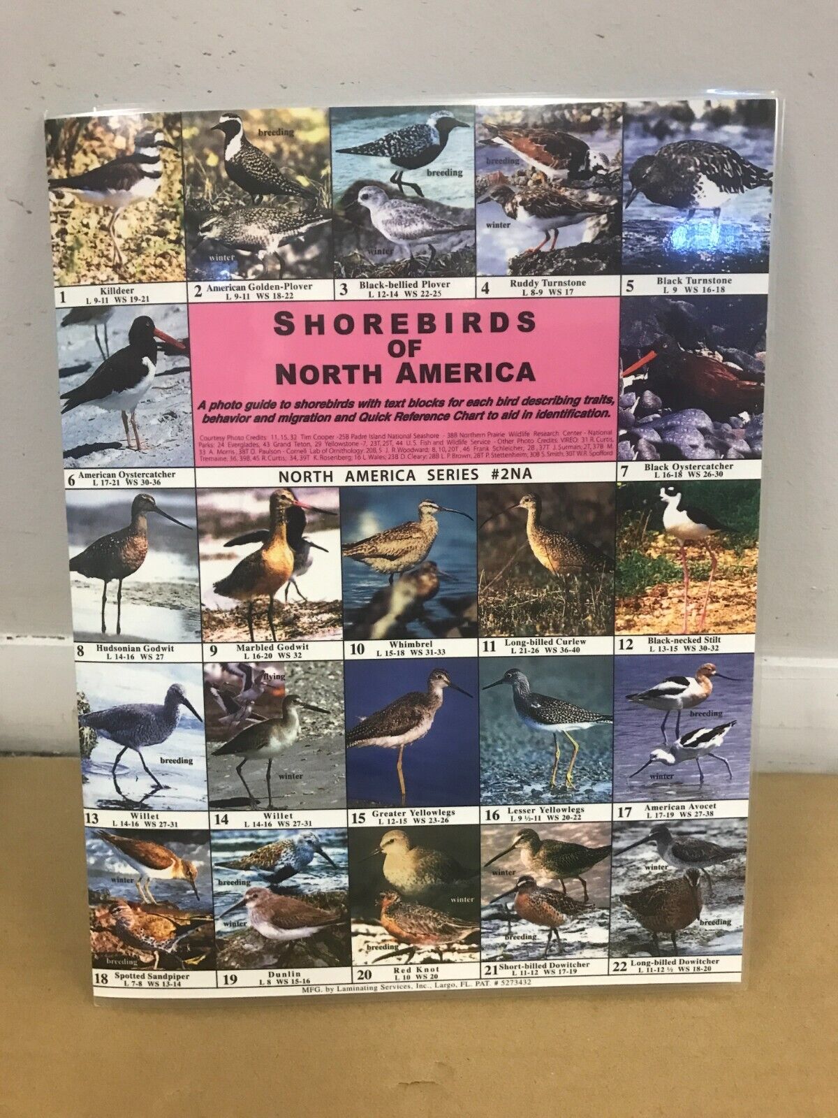 Shore Birds of North America - 1988 Seavey Field Guide - Laminated