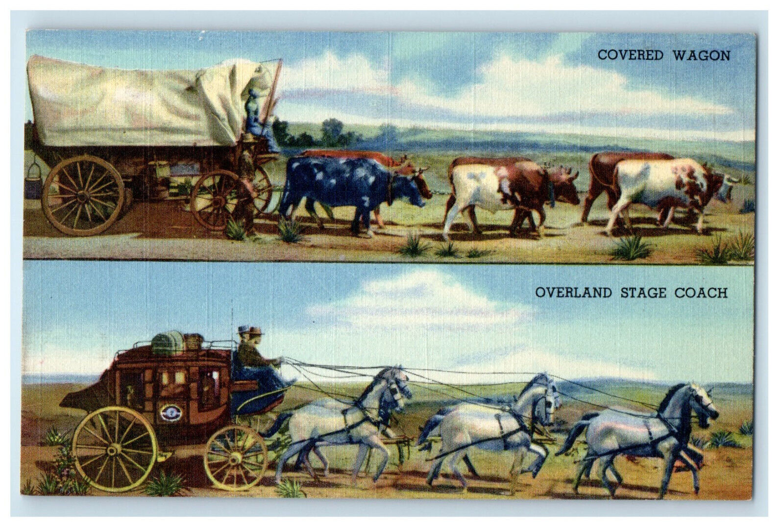 c1940s Covered Wagon and Overland Stage Coach Dioramas at State Museum Postcard