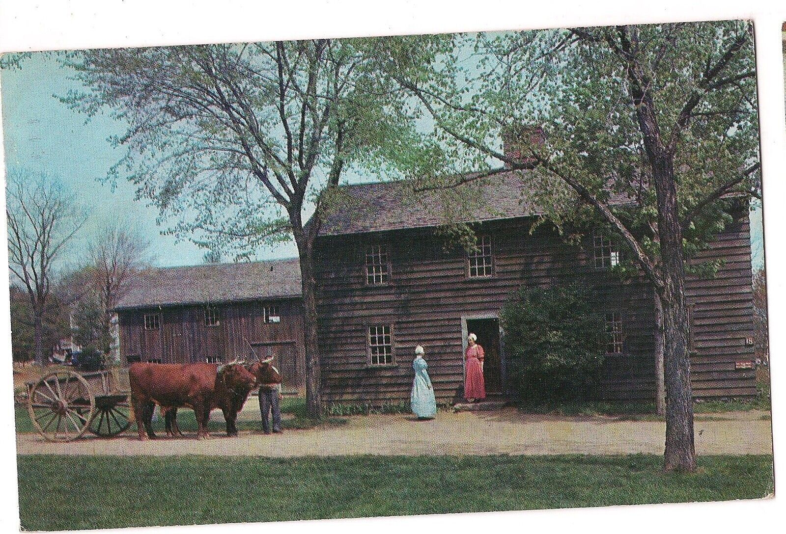 DURHAM OXEN Fenno House  Sturbridge Village Museum Massachusetts Postcard 1963