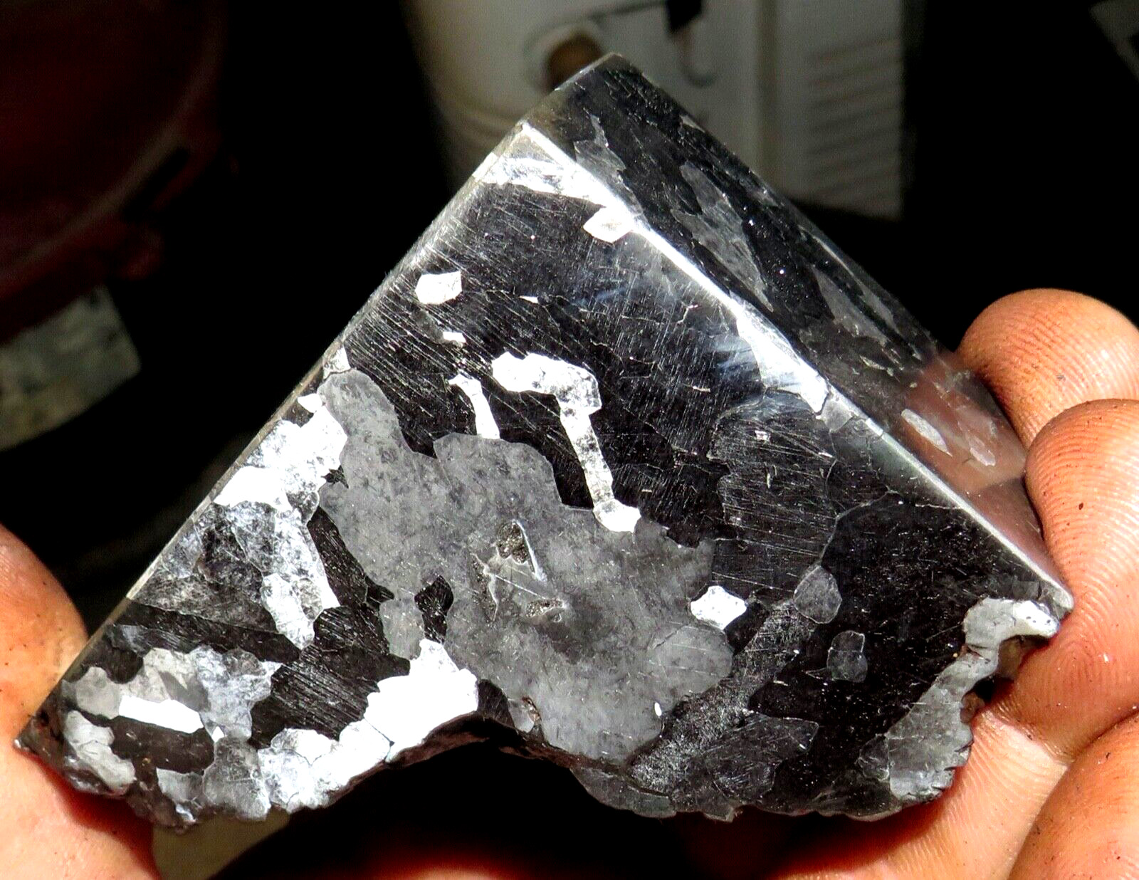 BEAUTIFUL 558 GM. ETCHED CAMPO DEL CIELO METEORITE QUAD CUT 1.22 LBS