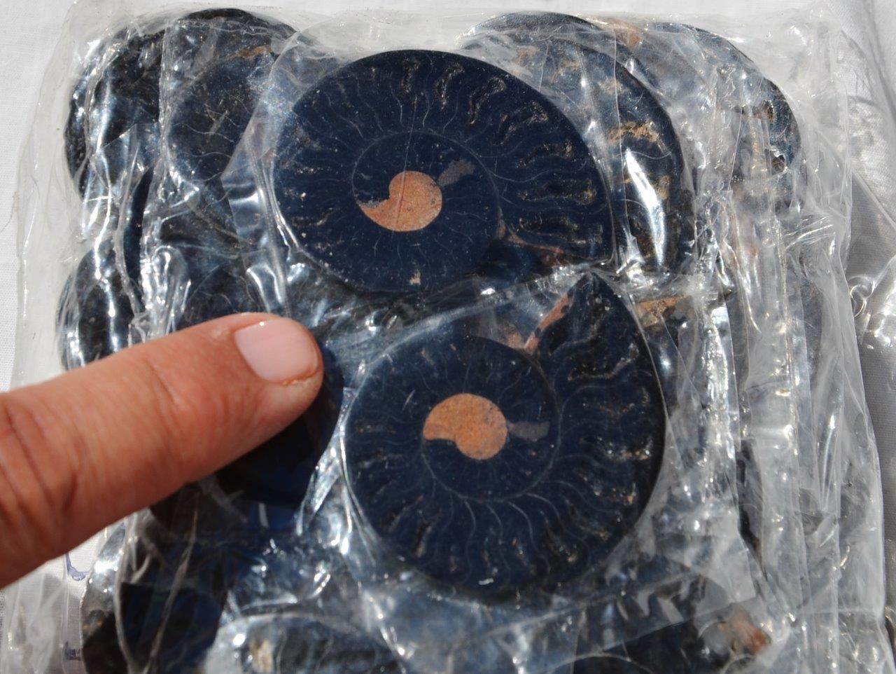 7949f LOT of FIFTY/50 RARE 1n100 BLACK Ammonite PAIR Crystal FOSSIL MEDIUM 4-5cm